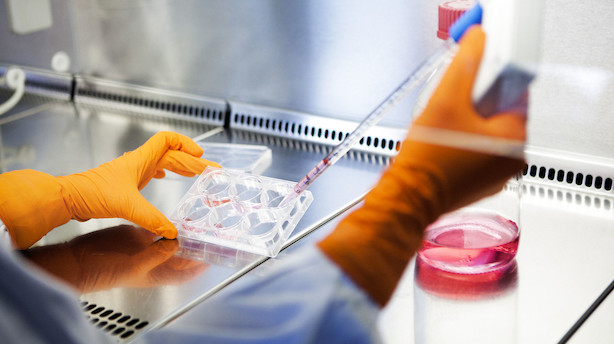 Bavarian Nordic hyrer kommerciel direktør fra britisk medicinalkæmpe