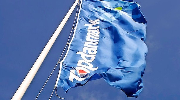 Topdanmark løfter forventninger med 100 mio trods minus på investeringer