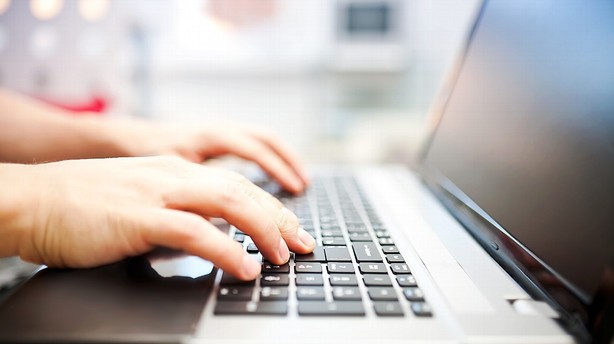 Branchedirektør: Flere it-opkøb i år