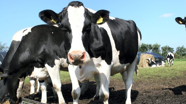 Arla skal sælge tonsvis af mælkepulver til Kina