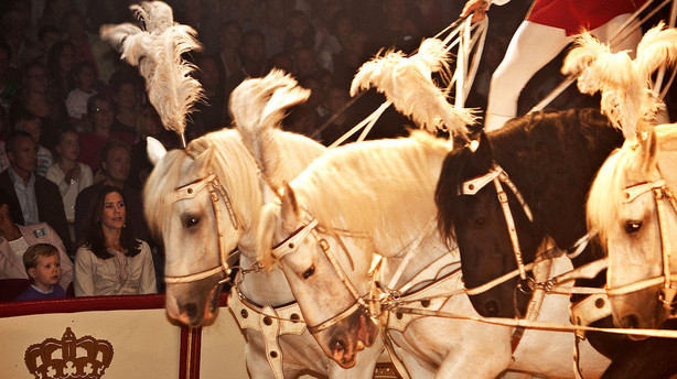 Søskende samler penge sammen og undgår konkurs i Cirkus Dannebrog