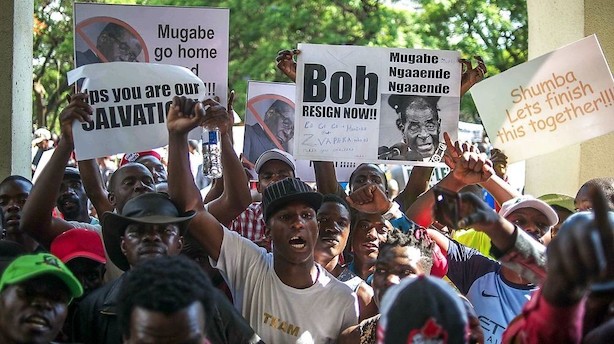 Vild jubel i Zimbabwe - Robert Mugabe træder tilbage