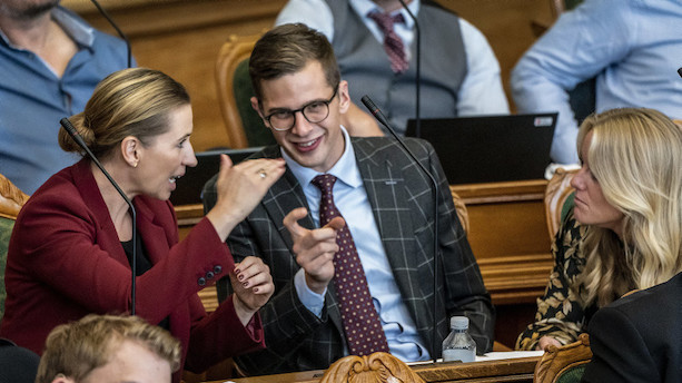 Liberal Alliance samler magten i en formandspost