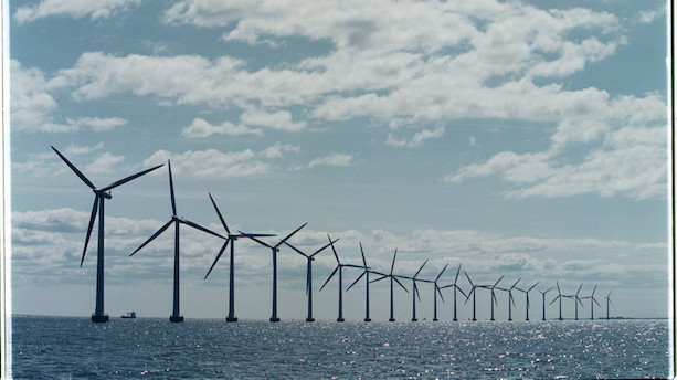 LA vil bruge 3,7 milliarder årligt på klimaforskning