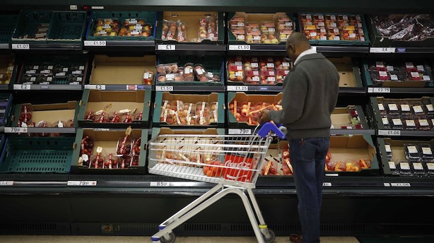Frugt og grønt rådner op i Storbritannien på grund af manglende arbejdskraft