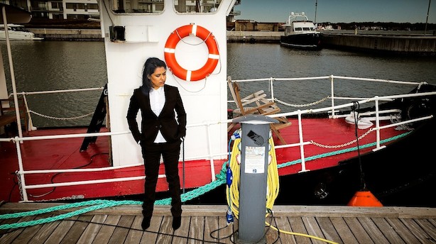 Investor-vagthund smider gebyrgribbe på porten