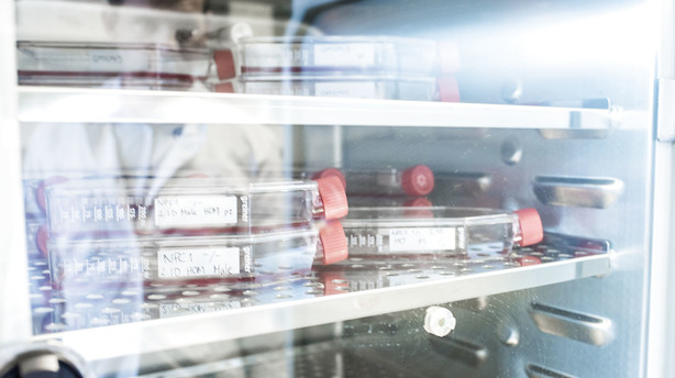 Orphazyme tildeles særbehandling af FDA for behandlingsmiddel til livstruende sygdom