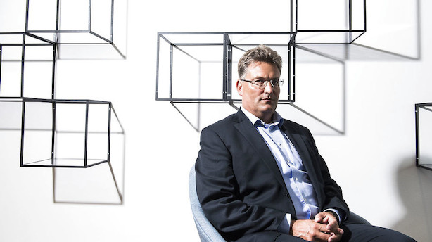 Dongs tidligere guldfugle har rejst 14 mia på fire måneder