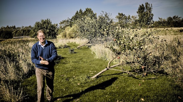 Rockwool-topchef: Handelskrigen er medvirkende til nedjustering