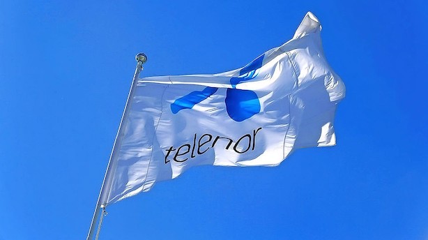 Telenor brænder 5 milliarder af på aktietilbagekøb