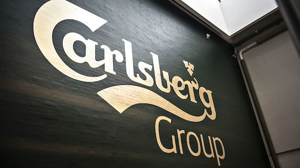 Carlsberg patent på byg åbner for debat om ejerskab af naturen