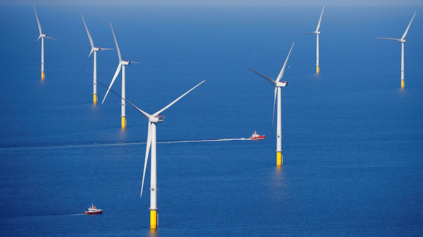 Ørsted-konkurrenter vandt offshore-auktion i Massachusetts
