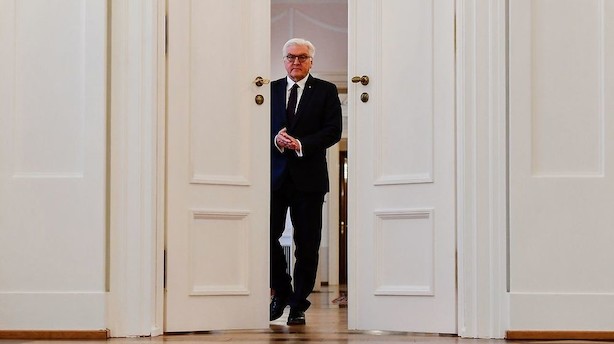 Tysk præsident: Tiden er ikke moden til nyvalg