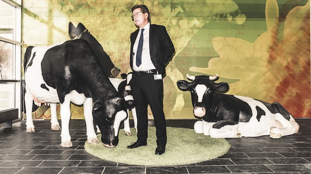 Overskud fra Arla regnskab skal gå til landmænd