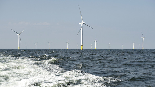 DTU går sammen med Ørsted og Vestas: Kunstig ø i Nordsøen skal opsamle enorme mængder energi fra havvind
