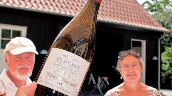 De 35 bedste vine fra Beaujolais-distriktet