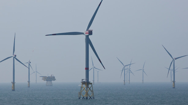 Det store tyske energiselskab og vindenergiinvestor RWE har som ventet tilbagegang