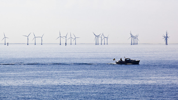 EU vil bekæmpe lukkede grænser for energi: Styrket vagthund glæder sektoren