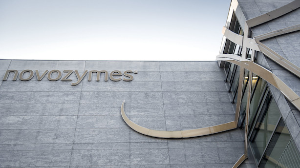 Markedet lukker: Novozymes endte på hælene efter svagt regnskab