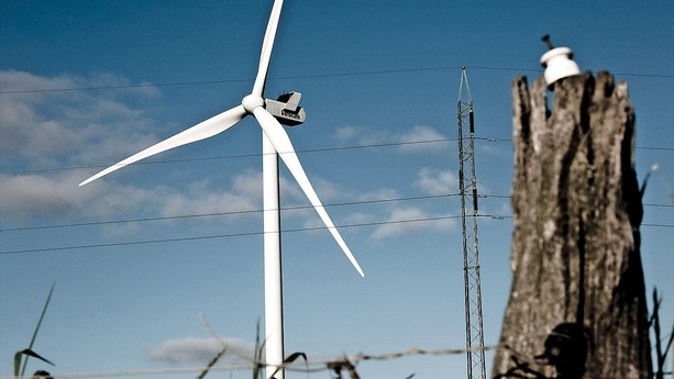 Aktier: Rekordordre trak Vestas til tops
