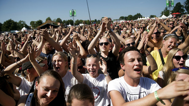 Musikfestivaler og Carlsberg i nyt grønt tiltag: Øl i genbrugsglas
