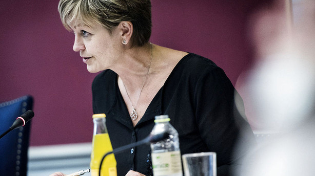 Pressede mælkebønder satser på EU-hjælp