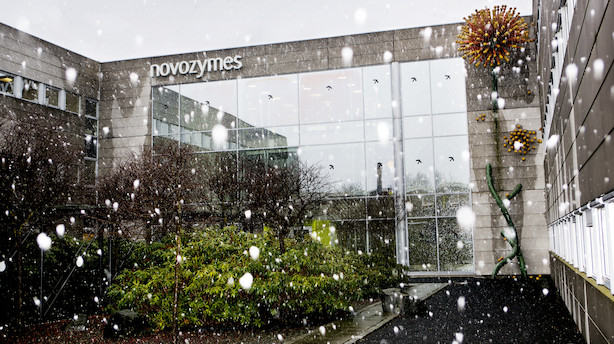 Bestyrelsesmedlem i Novozymes køber 1000 aktier for 299.000 kr