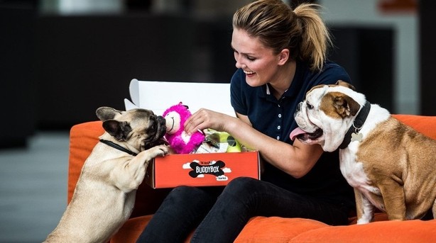 Nordjysk it-millionær putter penge i hundefoder