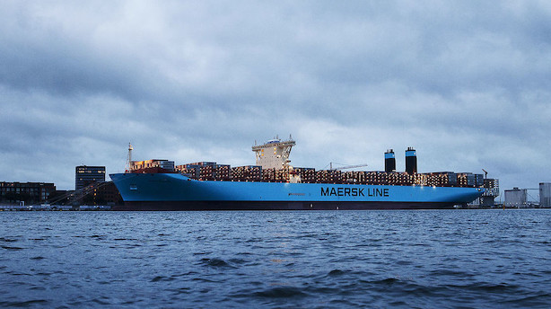 Ny kattepine for Maersk Line? Massiv kamp om kunderne op til jul