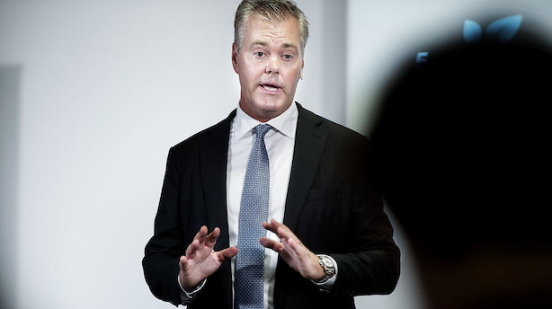 Storbank: Slår Nets-opkøb fejl kan det sende aktien 17 pct. ned