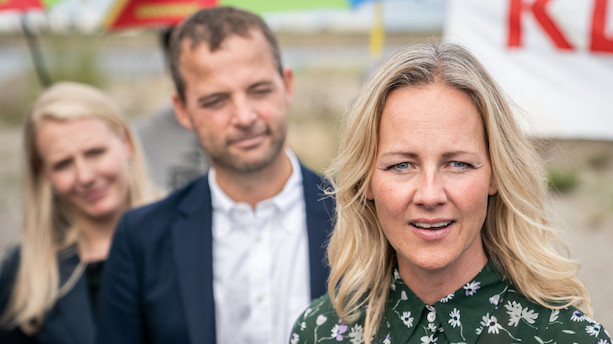 De Radikale vil have mere skov og natur på finansloven