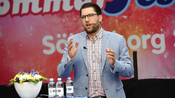 Sverigedemokrater: Andre partier slår plat på skovbrande