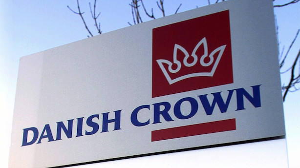 Heller ikke i år får Danish Crown sorte tal i England: "Men samlet bliver bundlinjen noget bedre"