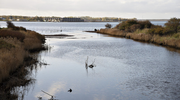 Regeringen beder EU om mere tid til at sikre vandmiljø
