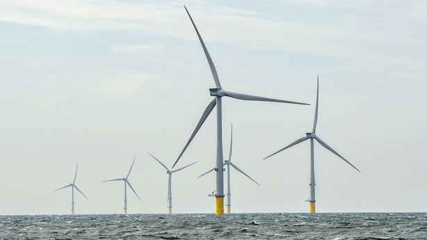 Ti vindkraftparker og elkabler planlægges langs Skånes kyst fra Øresund til Bornholm