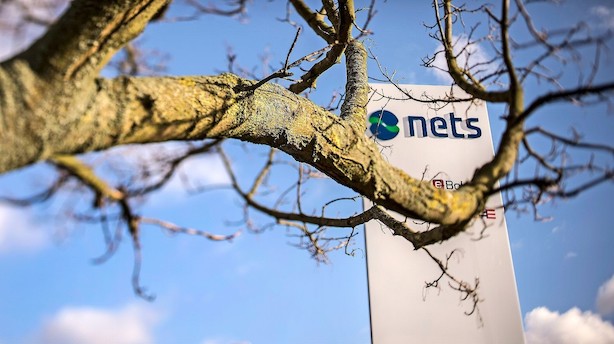 Aktier: Nets skiller sig positivt ud i fladt C20 Cap