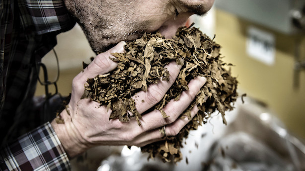 Dansk tobakskæmpe køber hollandsk cigarfirma for 1,5 mia kr