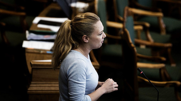 Politikere væmmes over mistænkt skattesvindler