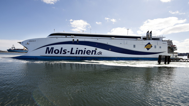 Aktionærforening: Mols-afnotering udhuler beskyttelse