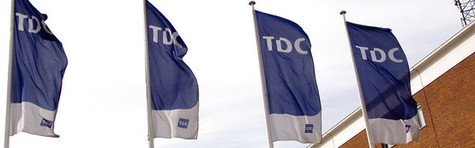 TDC-direktør håndplukket til hollandsk topjob