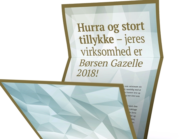 Børsen mener: Tillykke til årets gazeller, I er hverdagens helte