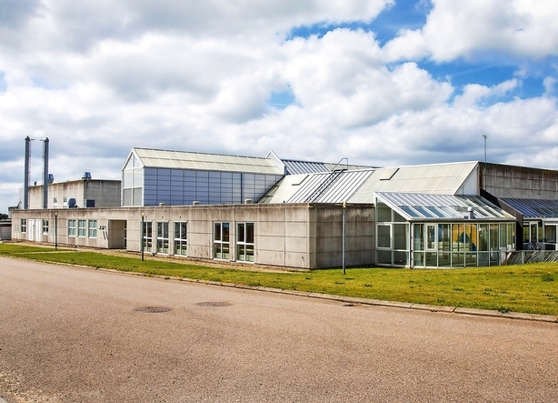 Kinesiske krav får Mille Dairy til at bygge mælkepulverfabrik