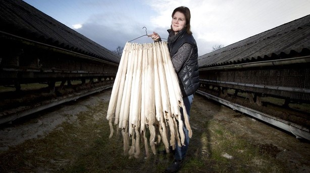 Danske minkfarmere rykker fra alle konkurrenterne