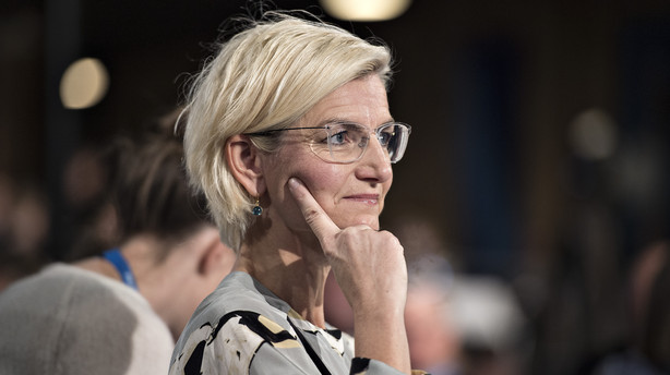 Leder: Få lagt en plan for SU'en, Tørnæs