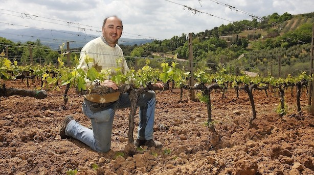 Fire vine til weekenden: På rejse i Italiens saftige druer