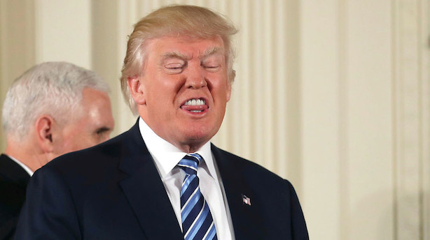 Kronik: Outsideren Trump vil kæmpe forgæves