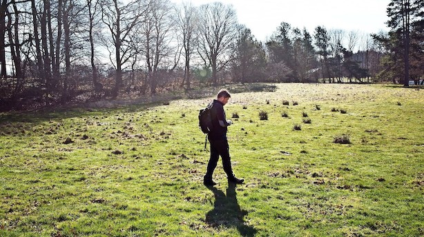 Gør som Nomas urtemand: Find salaten i naturen.