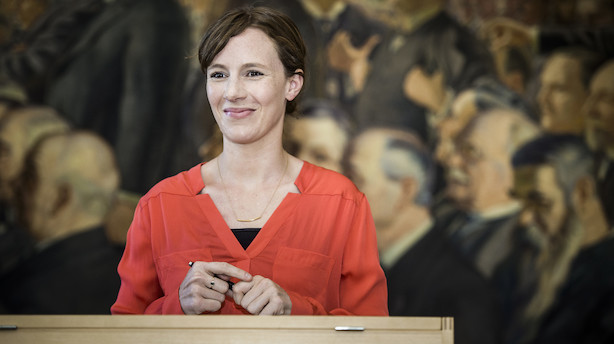 Børsen mener: Trist - venstrefløjen må hade familieeje