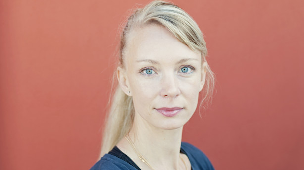 Kronik: Det offentliges modvilje mod private virksomheder skader velfærden