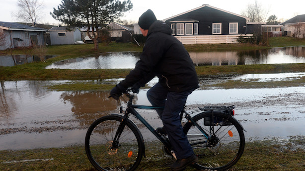 'Et sommerhus skal egentlig købes i november, december, januar eller februar'